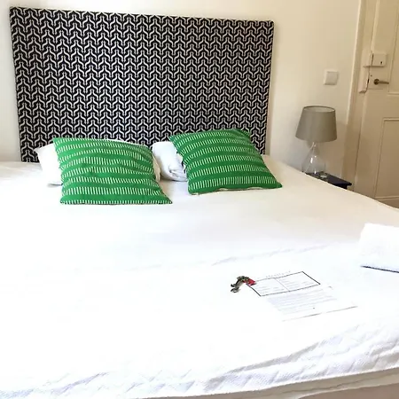 The Color Лиссабон